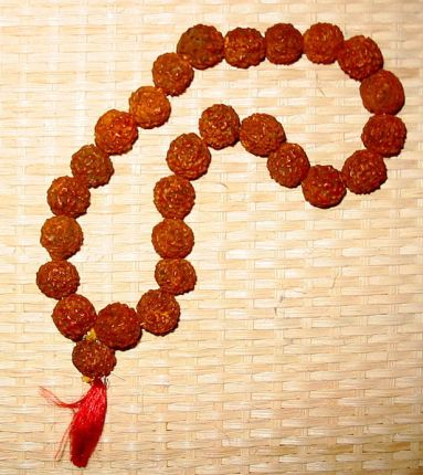 27- beads Japa Mala made of Rudraksha seed