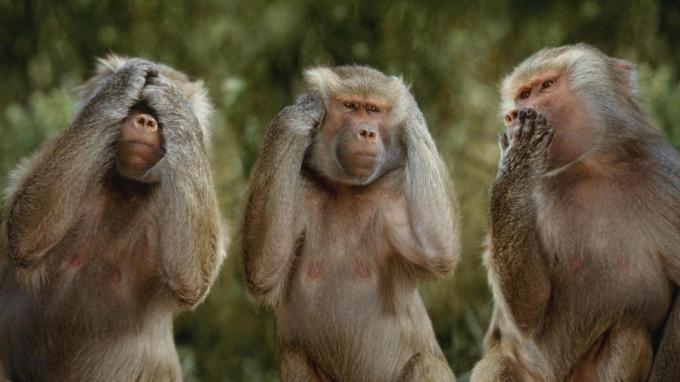 the-3-monkeys-of-mahatma-gandhi-source-daililol-com.jpg